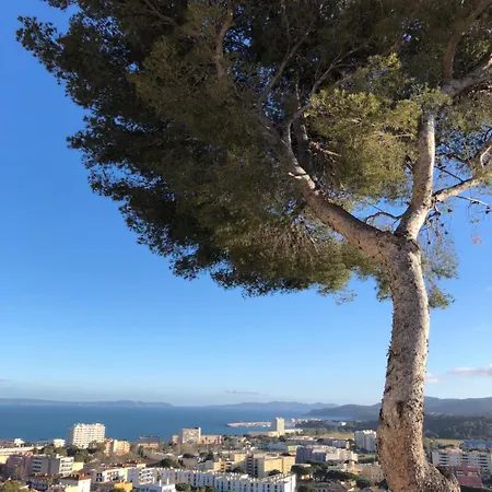 Апартаменты Belle Vue