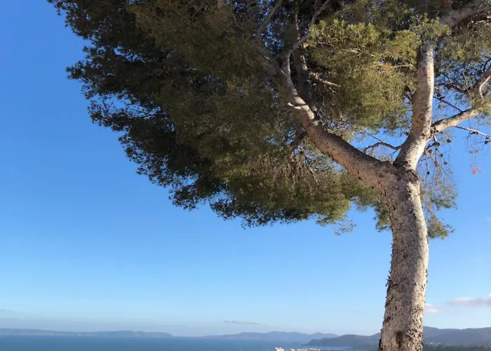 Апартаменты Belle Vue